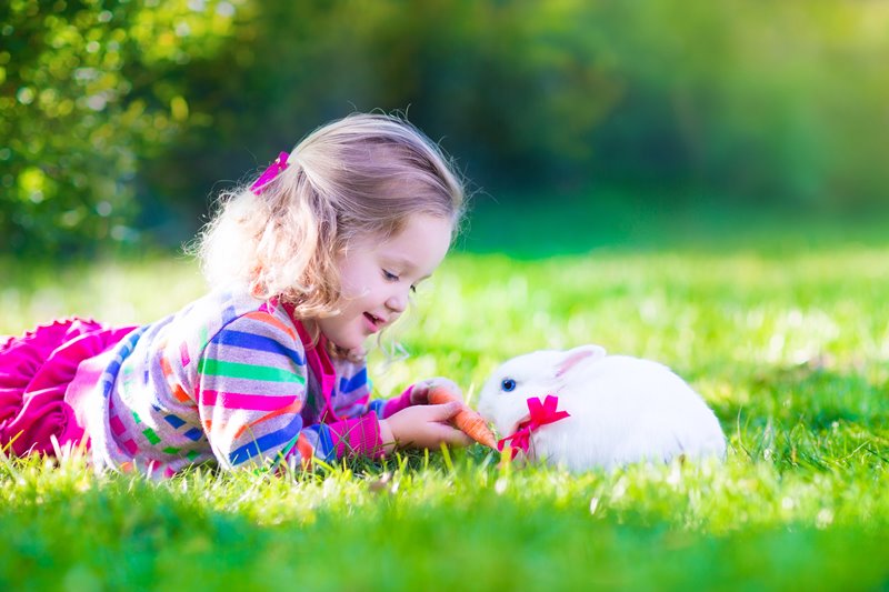 child with rabbit