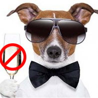 Dog with wine glass
