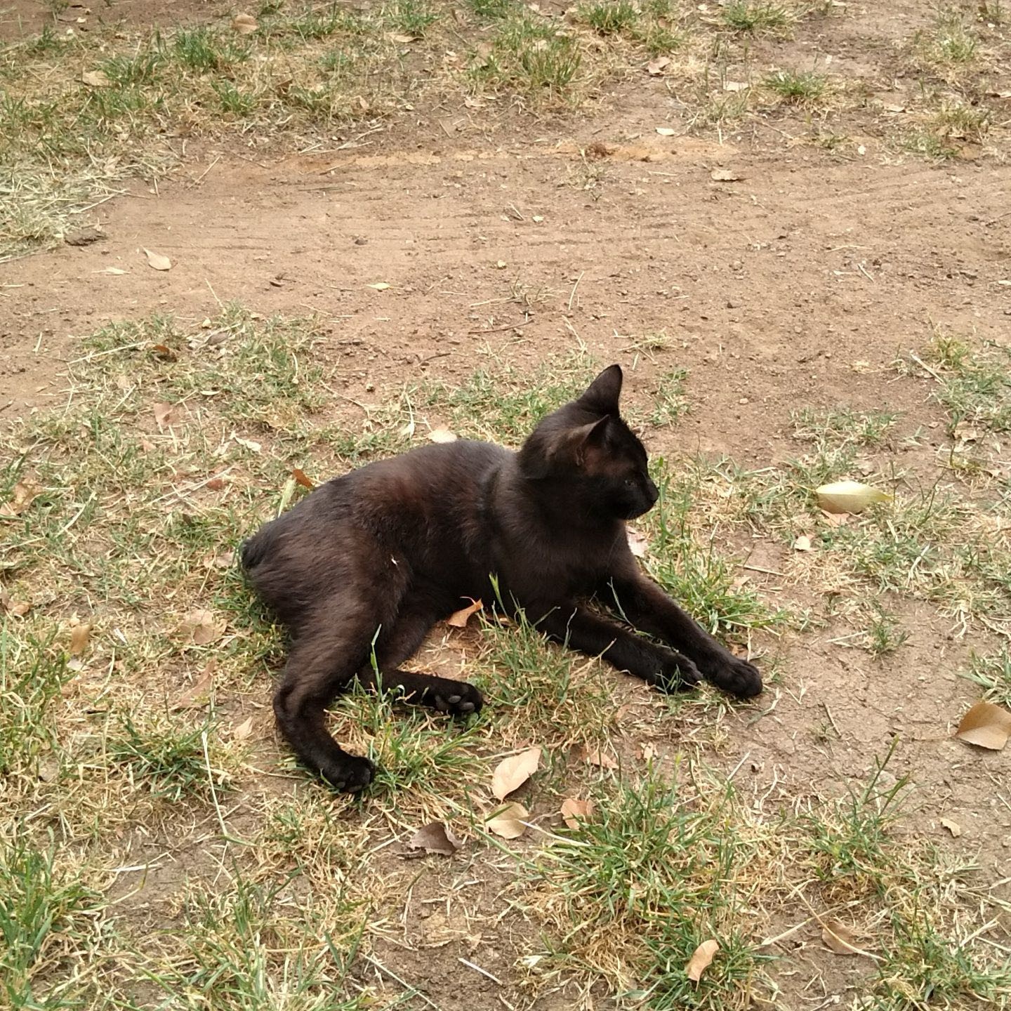 Salem